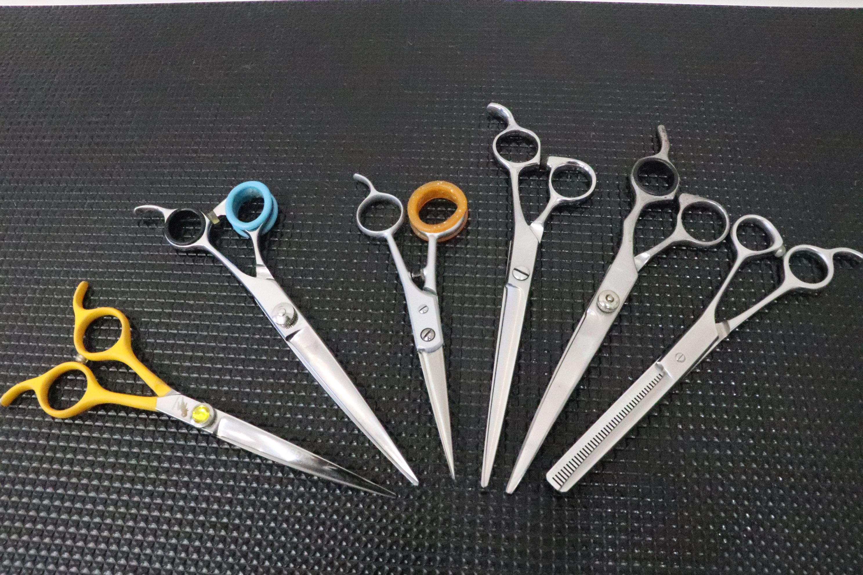 �g���~���O�T���� �����s