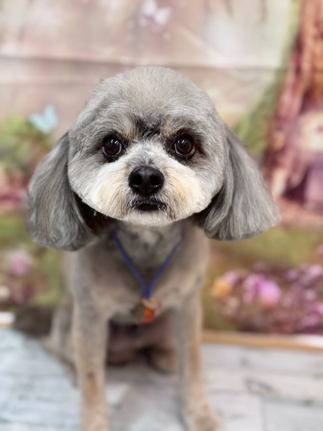 �I���[�W�� �挎�̂��q�l