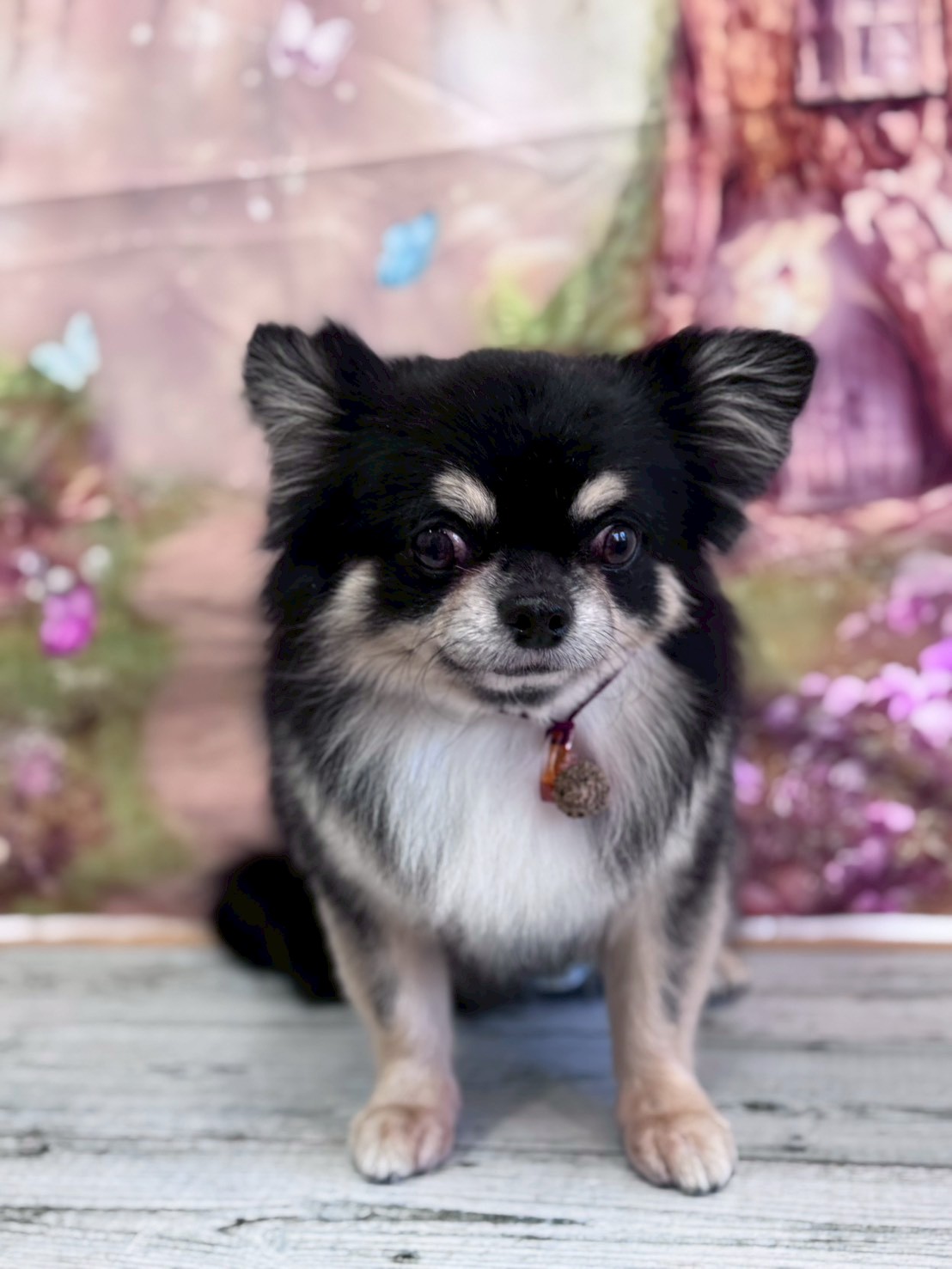 �I���[�W�� �挎�̂��q�l