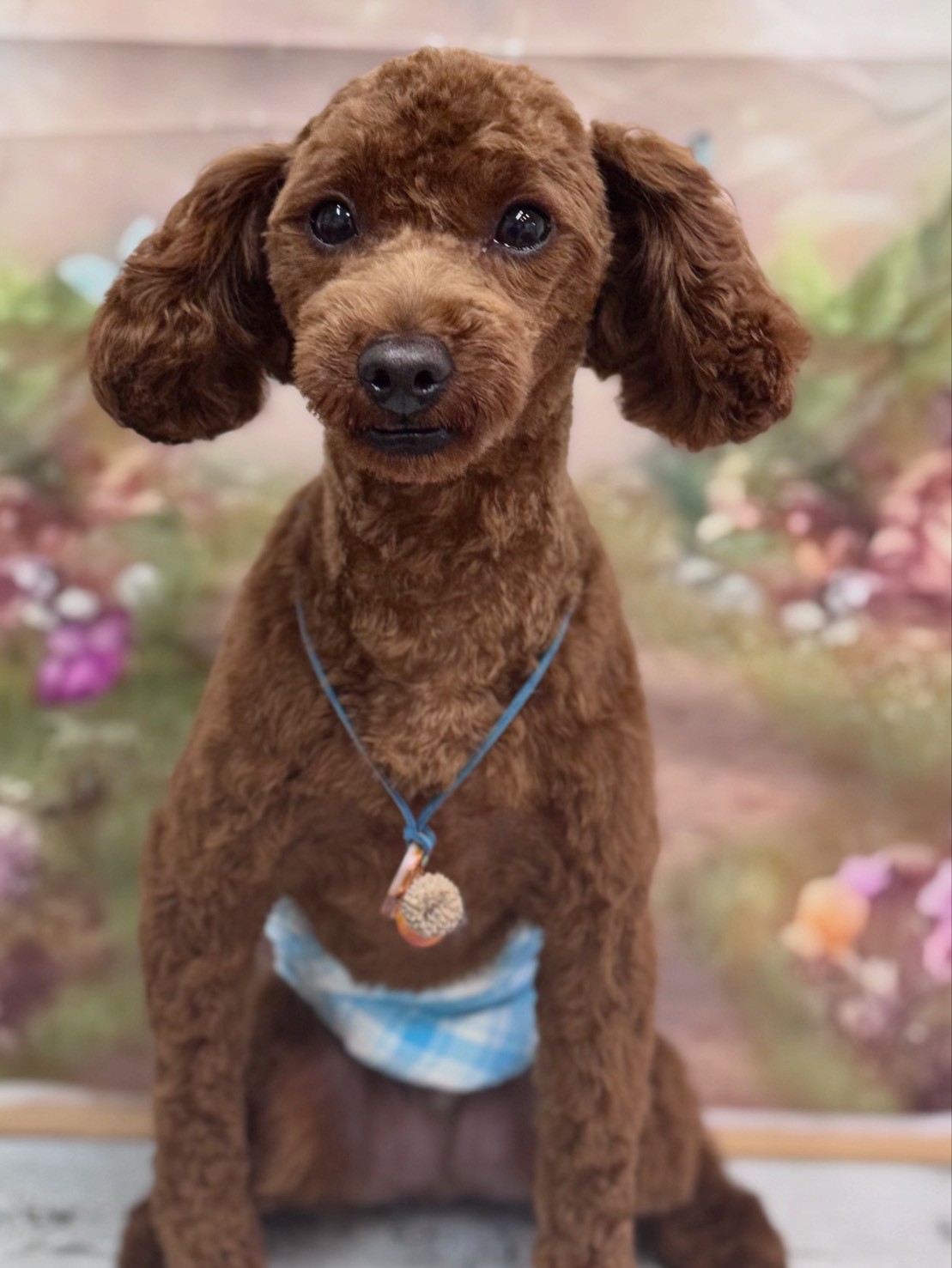 �I���[�W�� �挎�̂��q�l