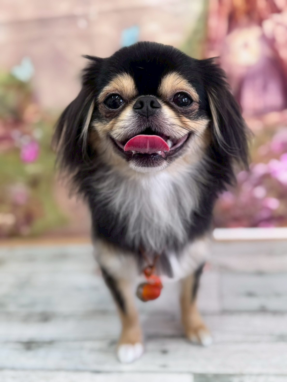 �I���[�W�� �挎�̂��q�l