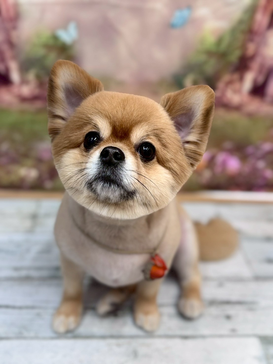 �I���[�W�� �挎�̂��q�l