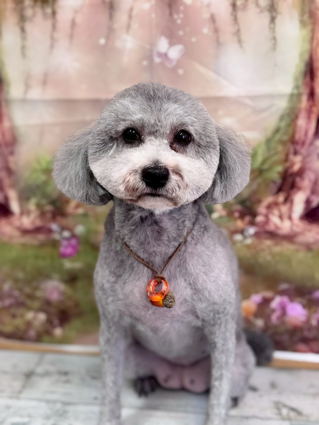 �I���[�W�� �挎�̂��q�l