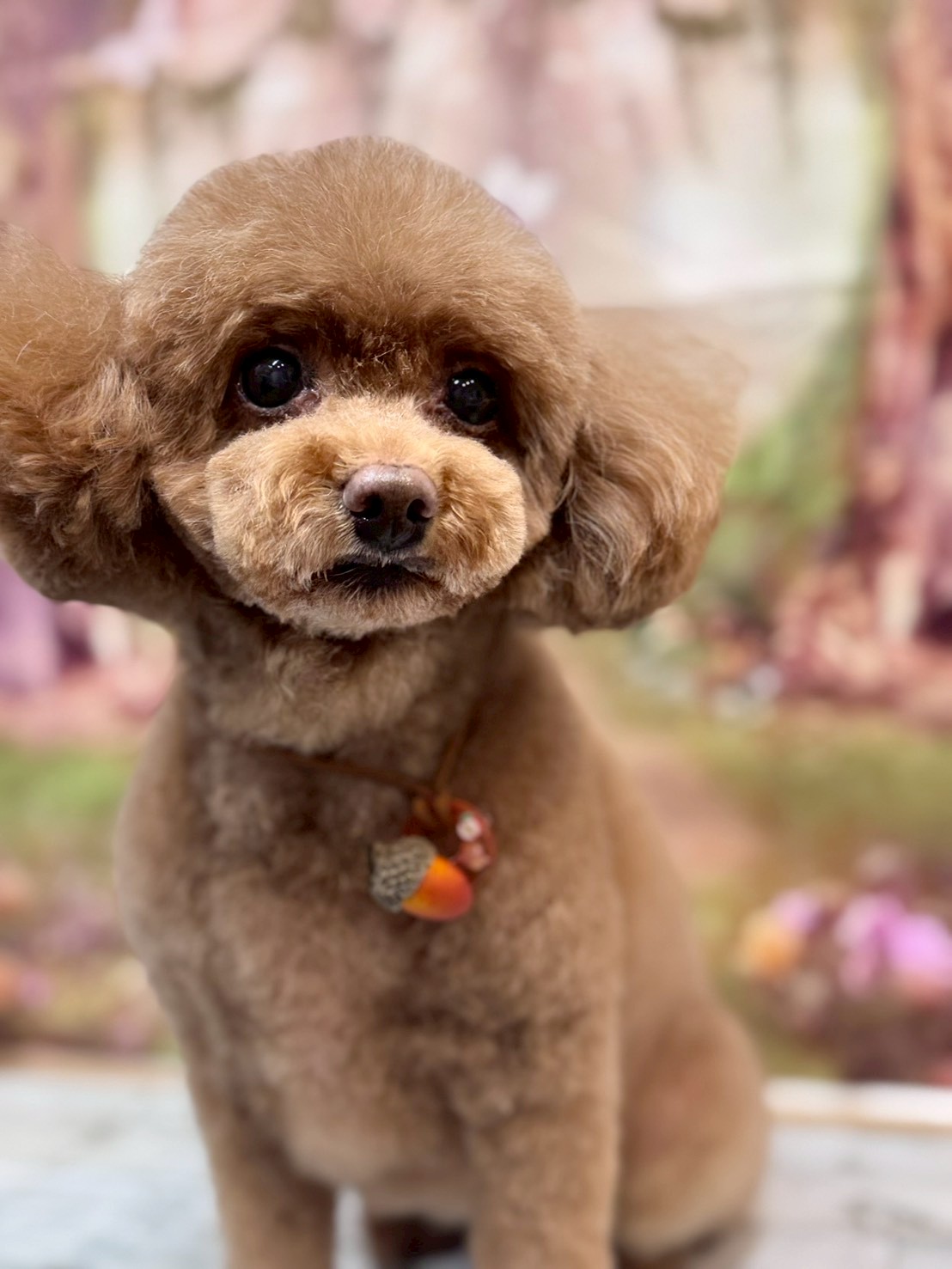 �I���[�W�� �挎�̂��q�l