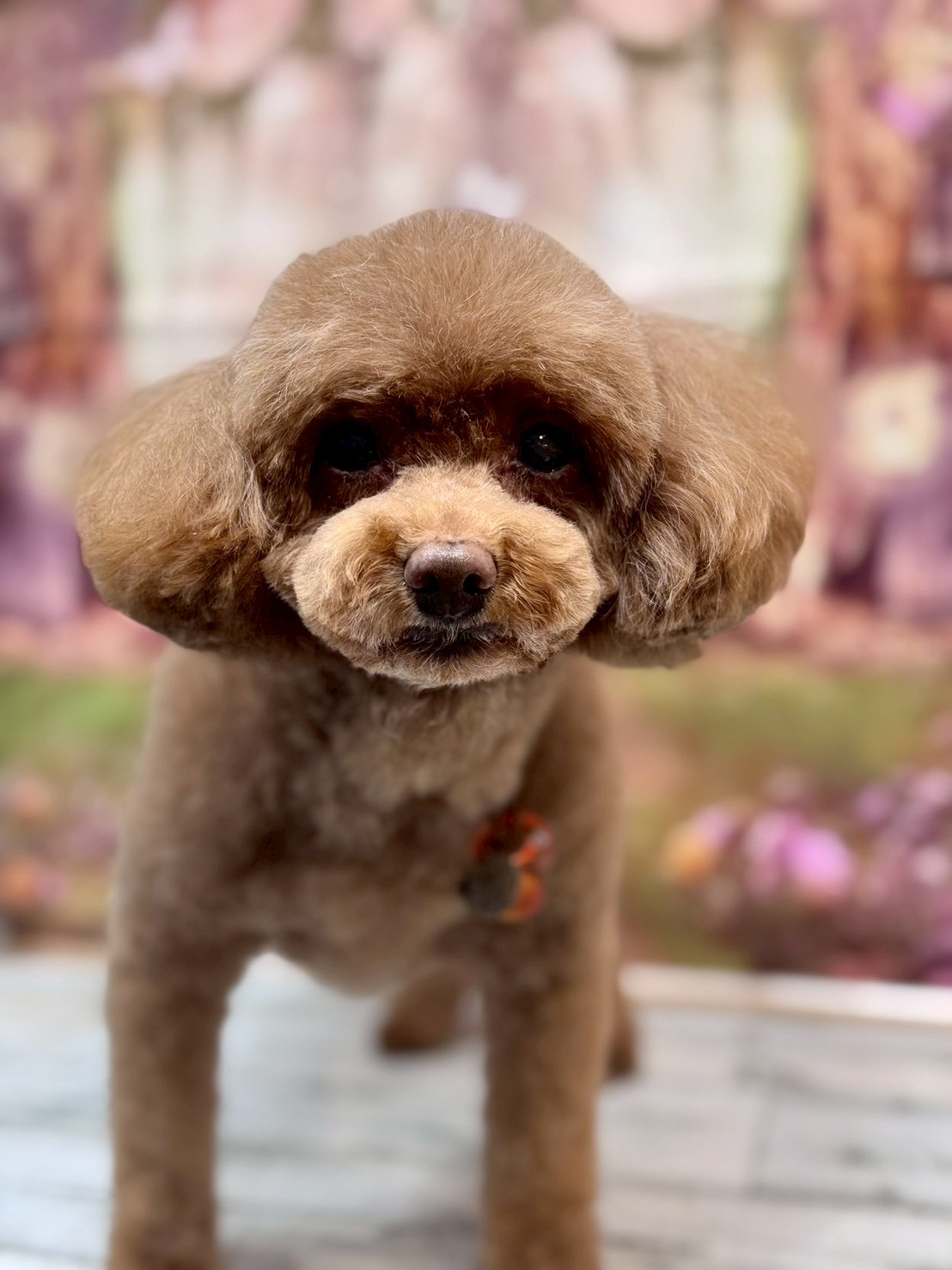 �I���[�W�� �挎�̂��q�l