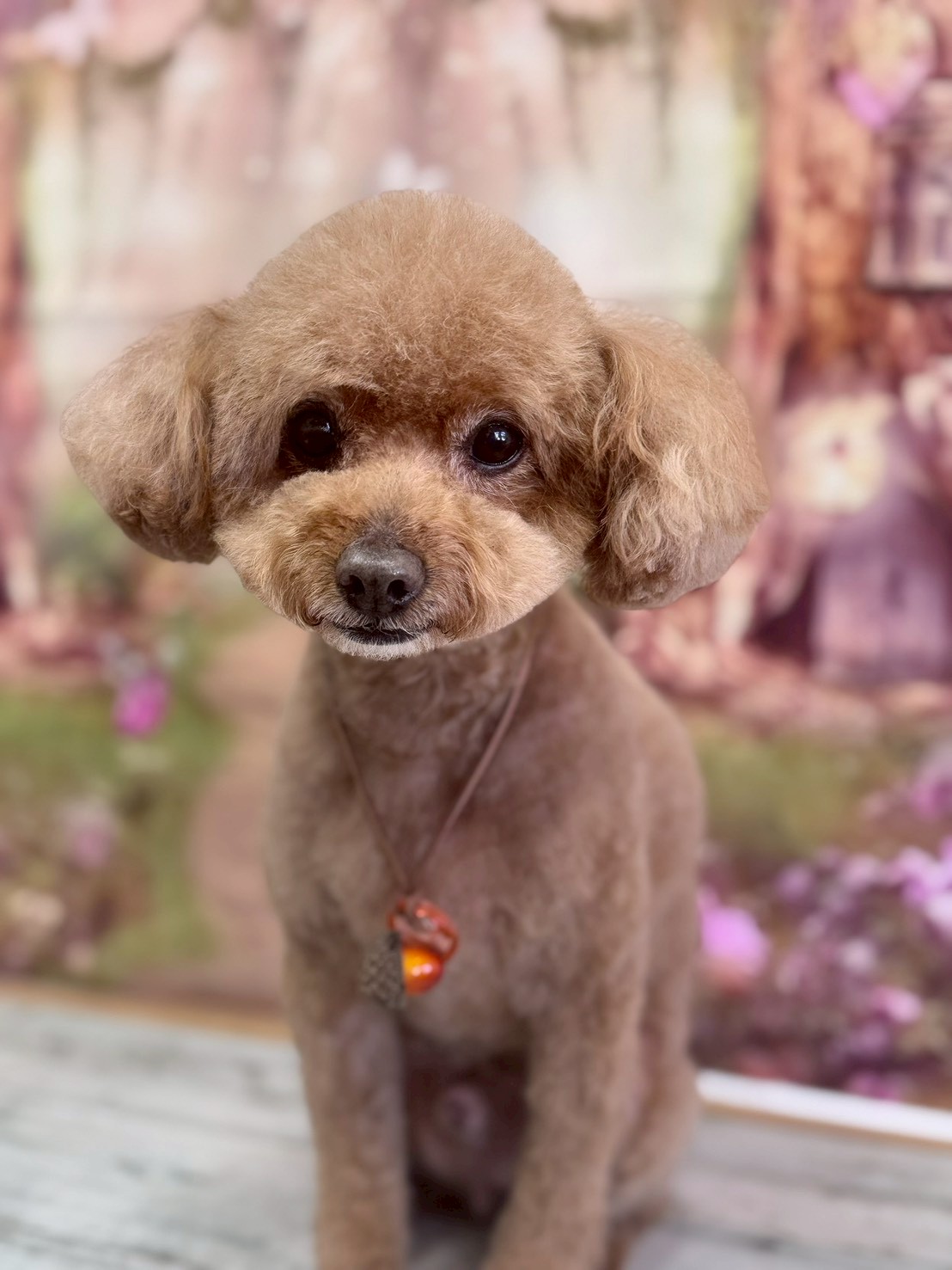 �I���[�W�� �挎�̂��q�l