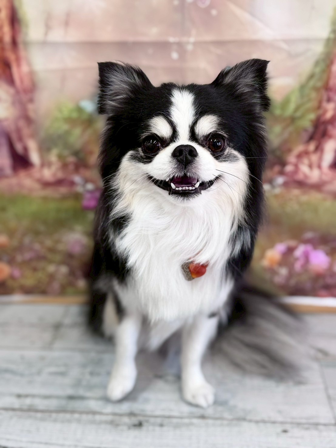 �I���[�W�� �挎�̂��q�l