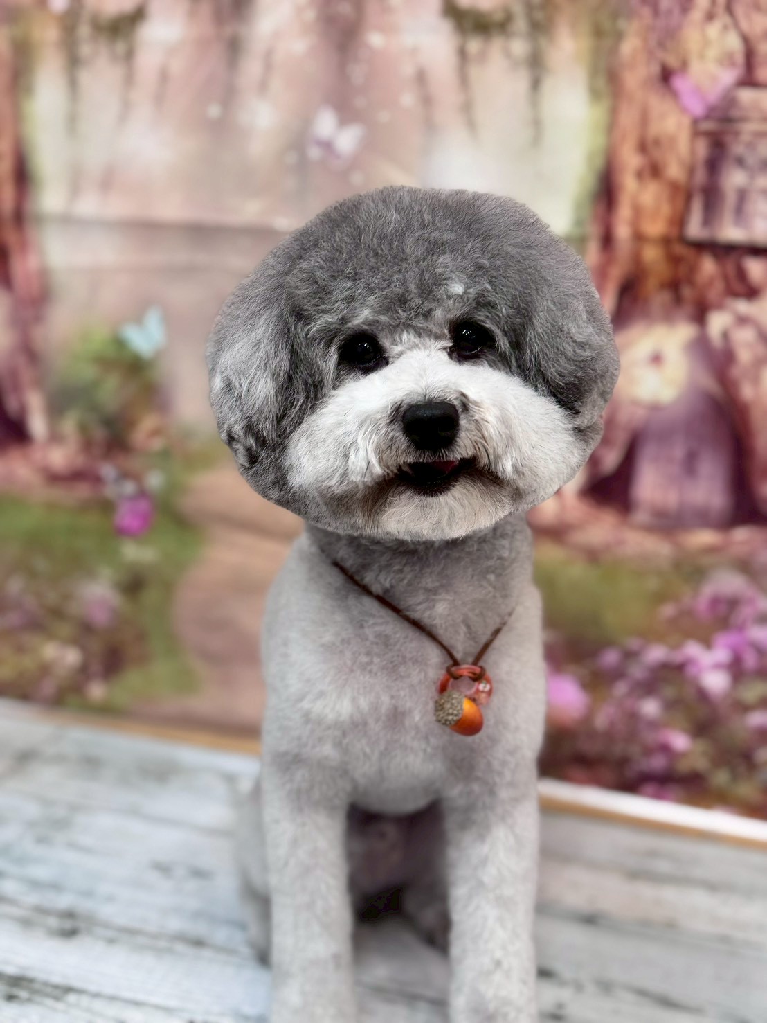 �I���[�W�� �挎�̂��q�l