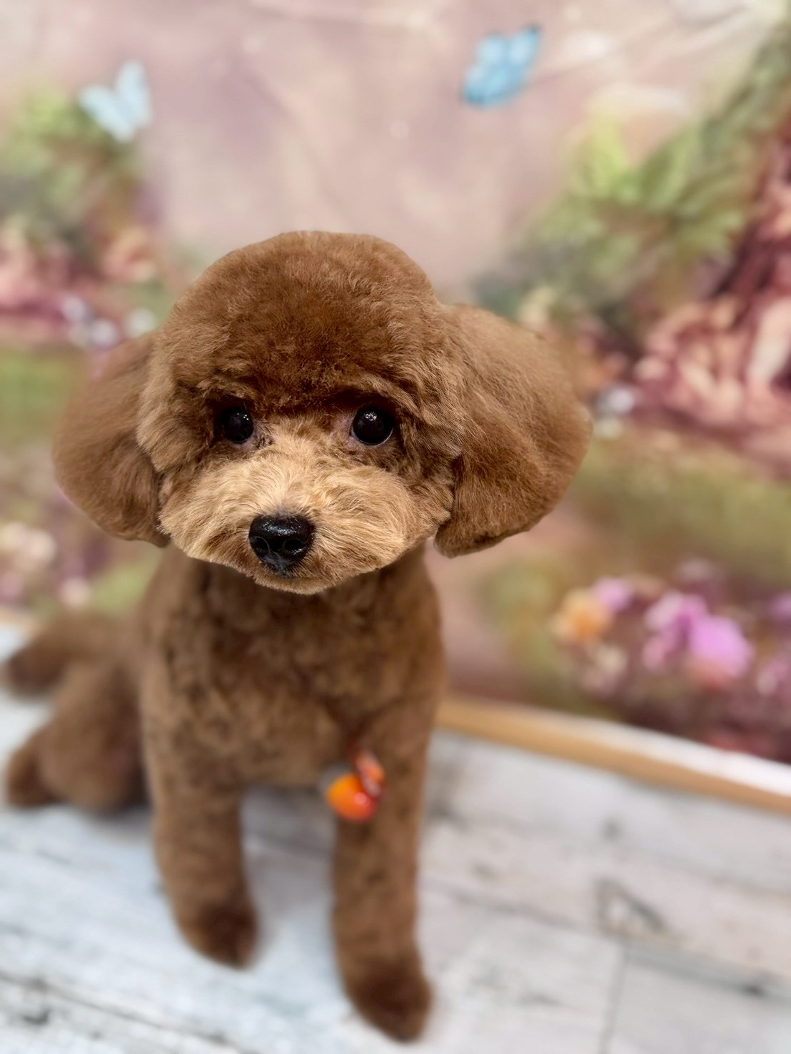 �I���[�W�� �挎�̂��q�l