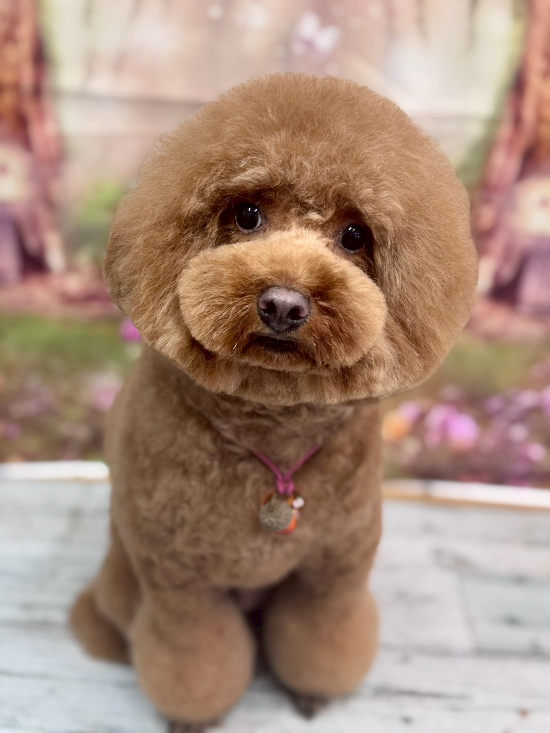 �I���[�W�� �挎�̂��q�l