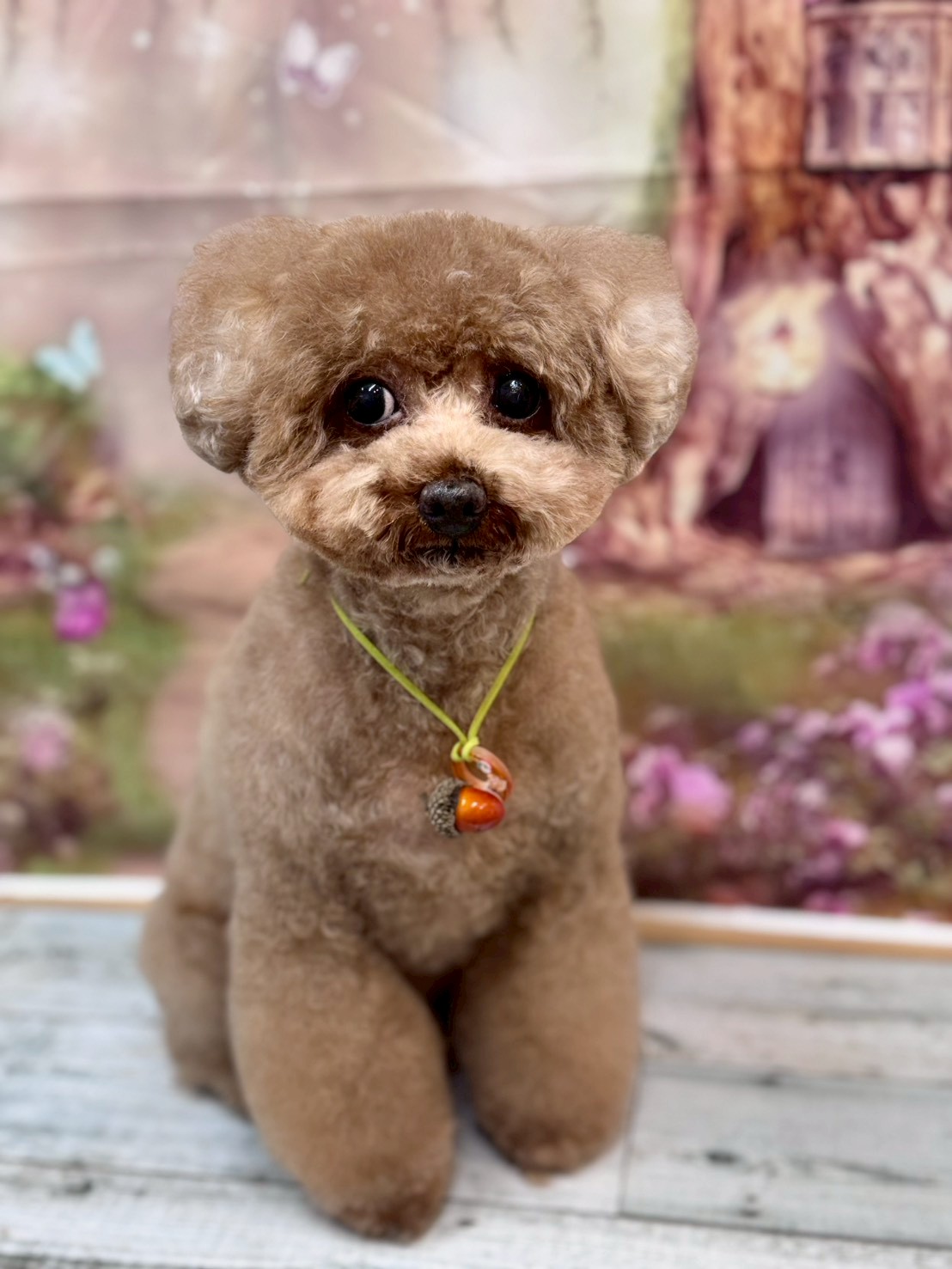 �I���[�W�� �挎�̂��q�l