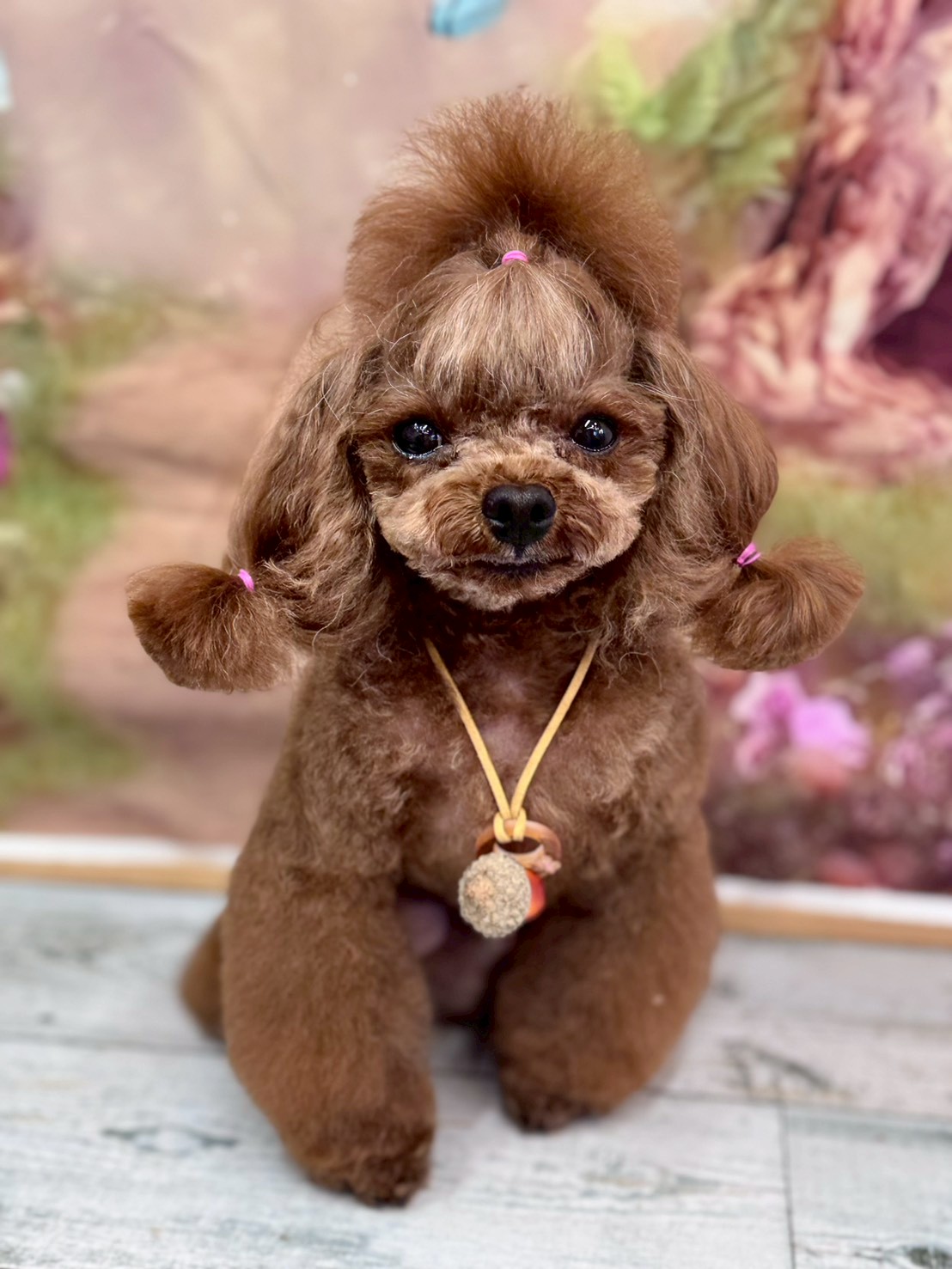 �I���[�W�� �挎�̂��q�l