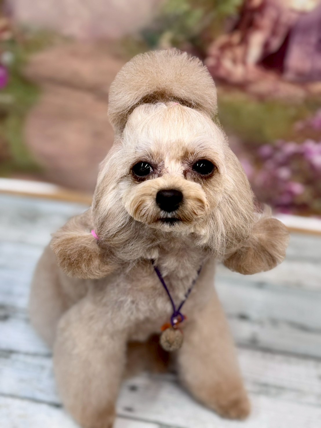 �I���[�W�� �挎�̂��q�l