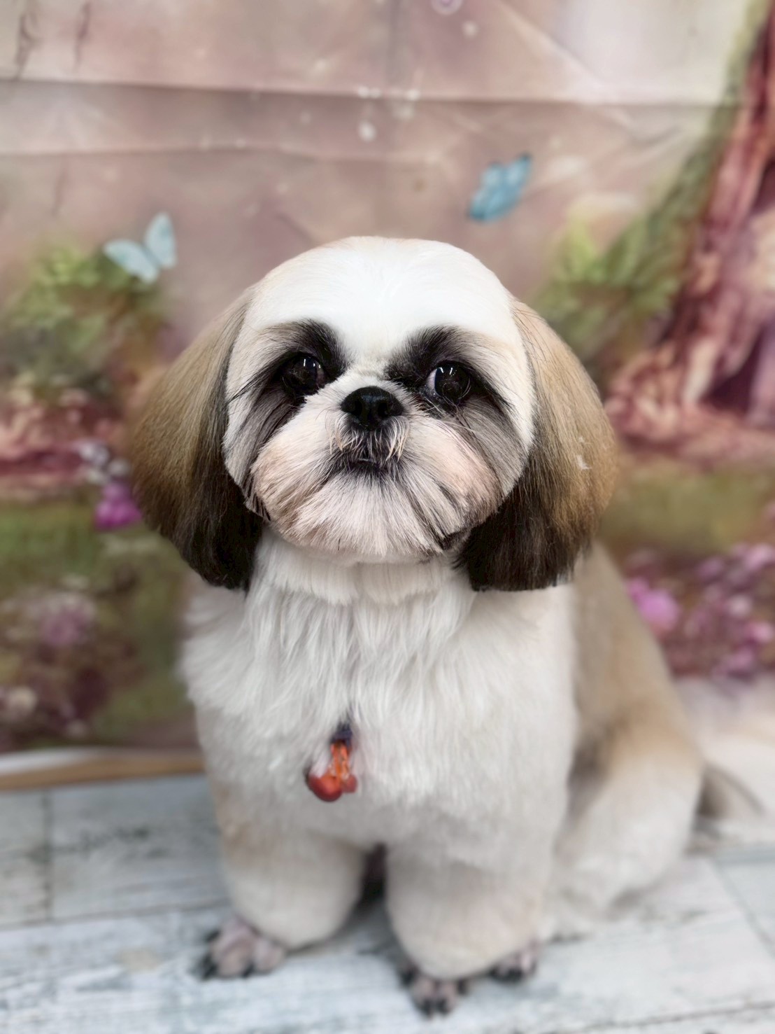 �I���[�W�� �挎�̂��q�l