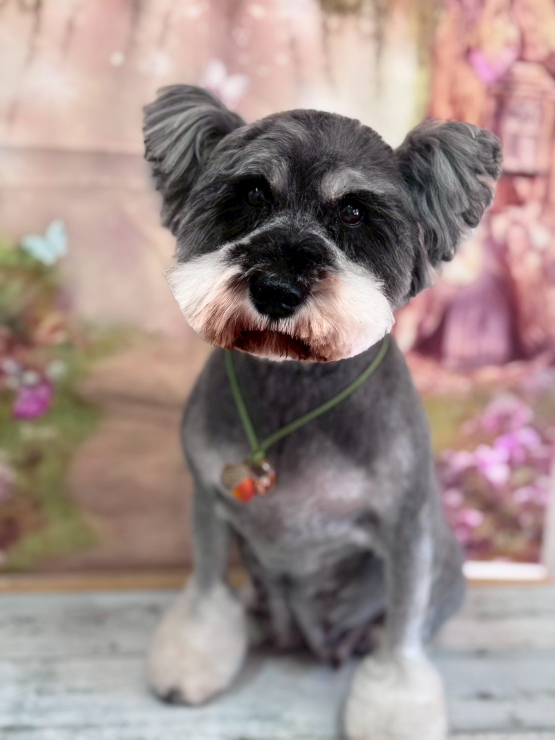 �I���[�W�� �挎�̂��q�l