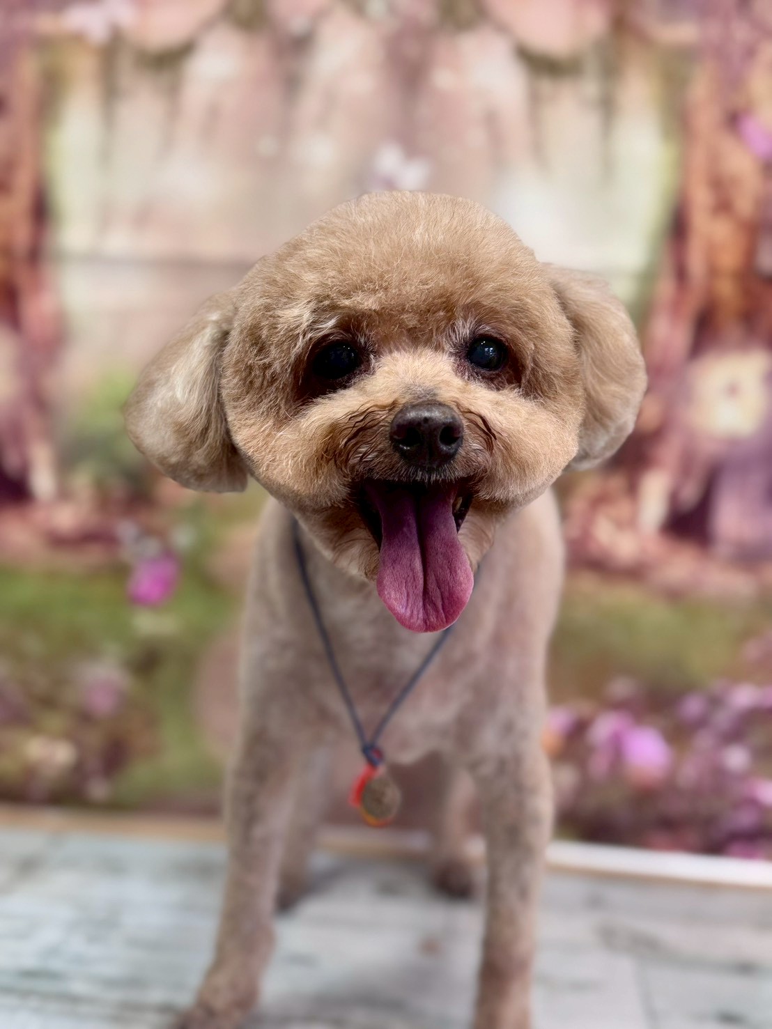 �I���[�W�� �挎�̂��q�l