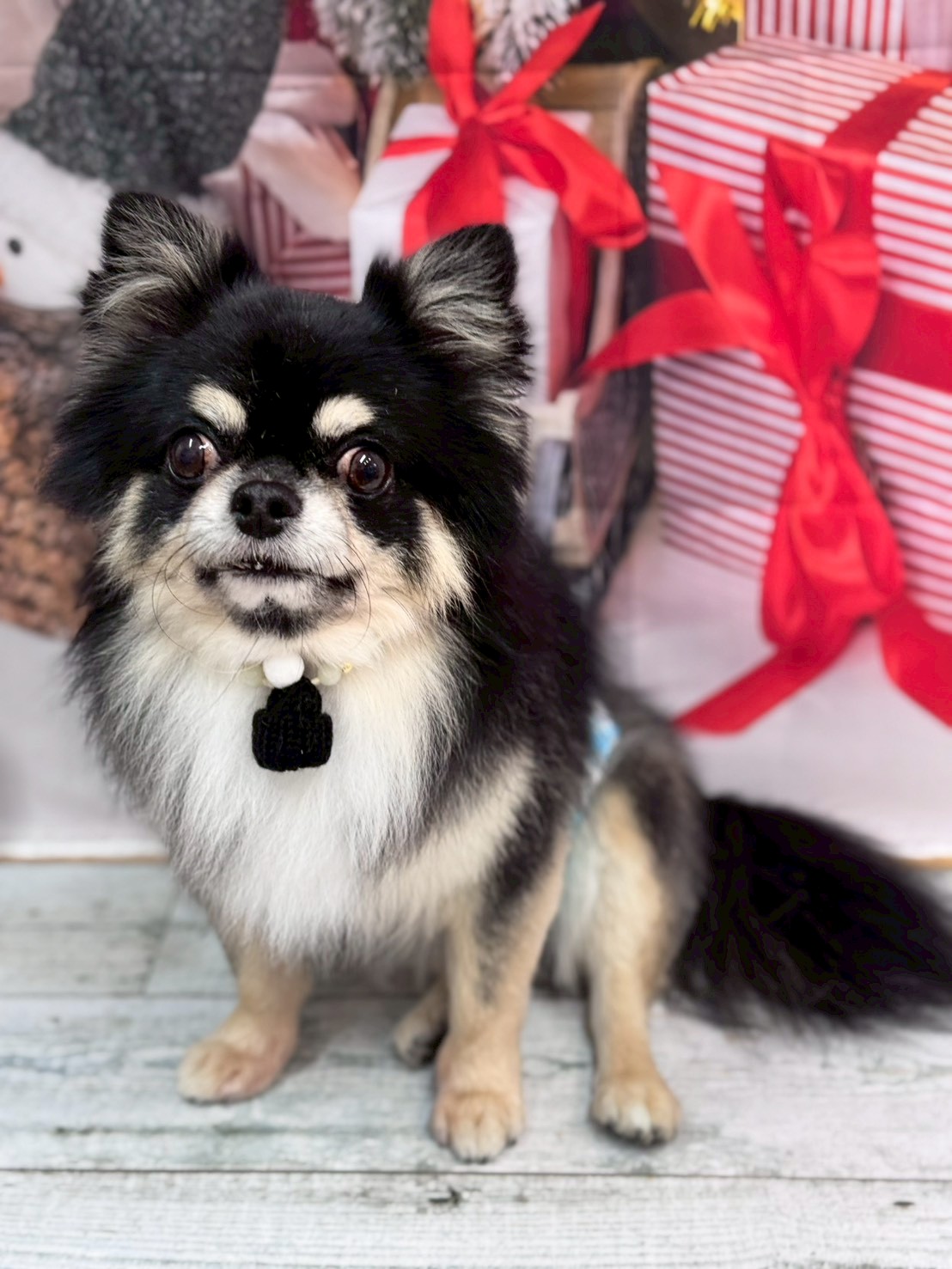 �I���[�W�� �挎�̂��q�l