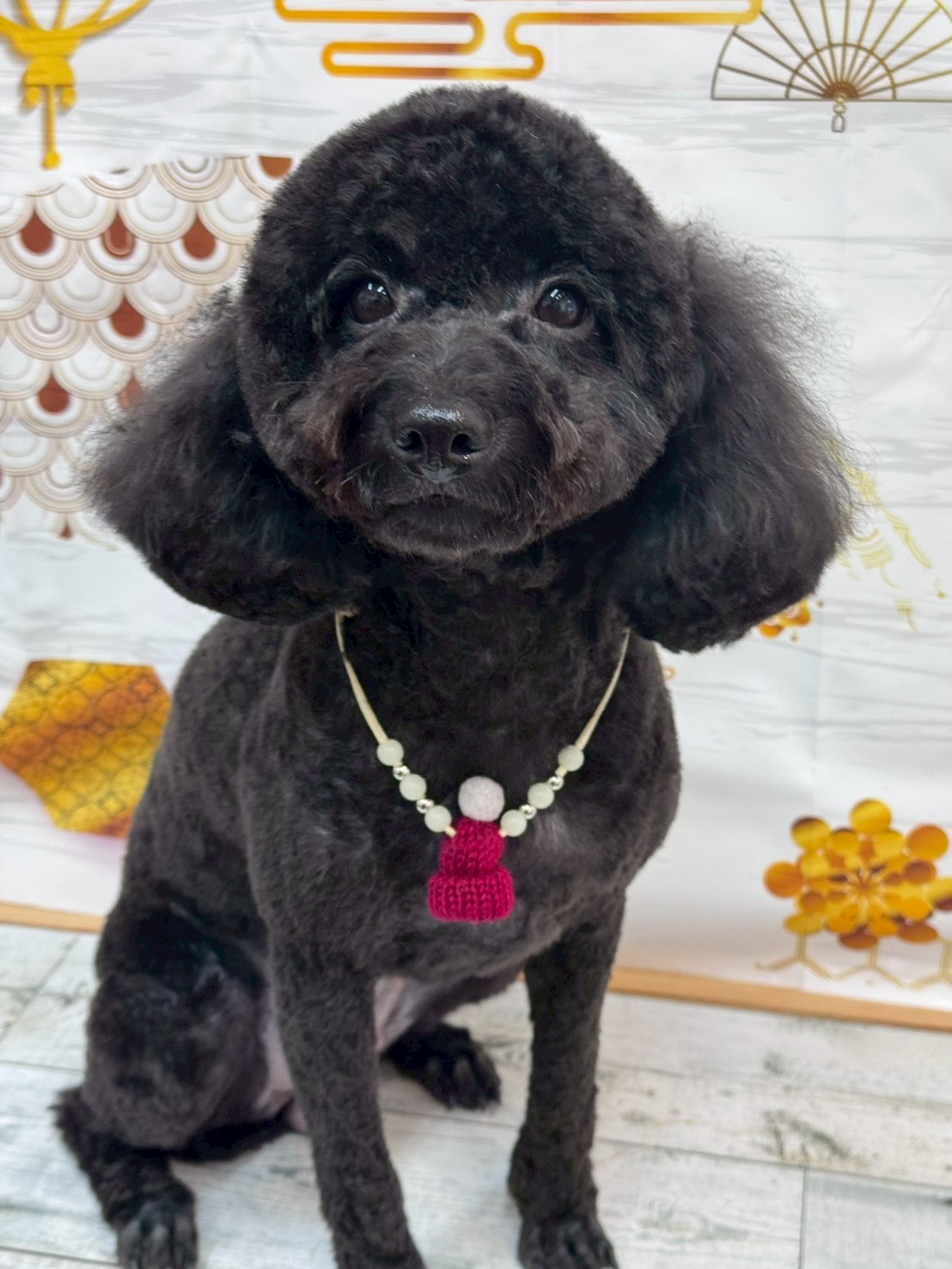 �I���[�W�� �挎�̂��q�l