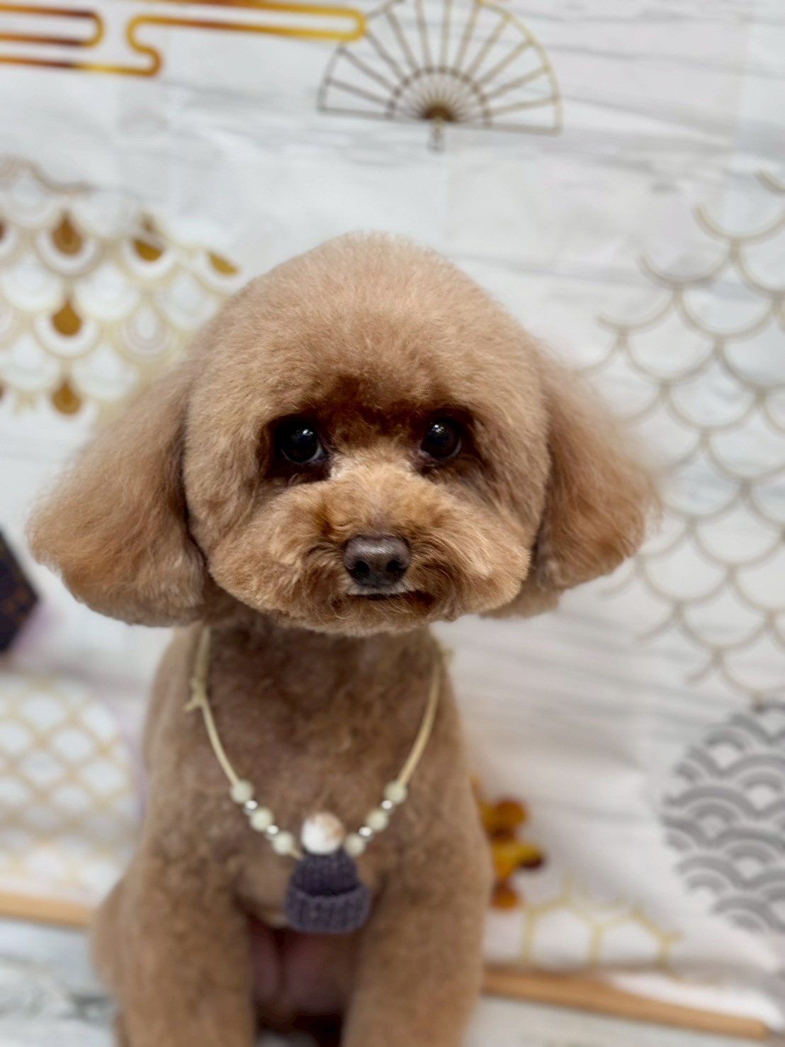 �I���[�W�� �挎�̂��q�l