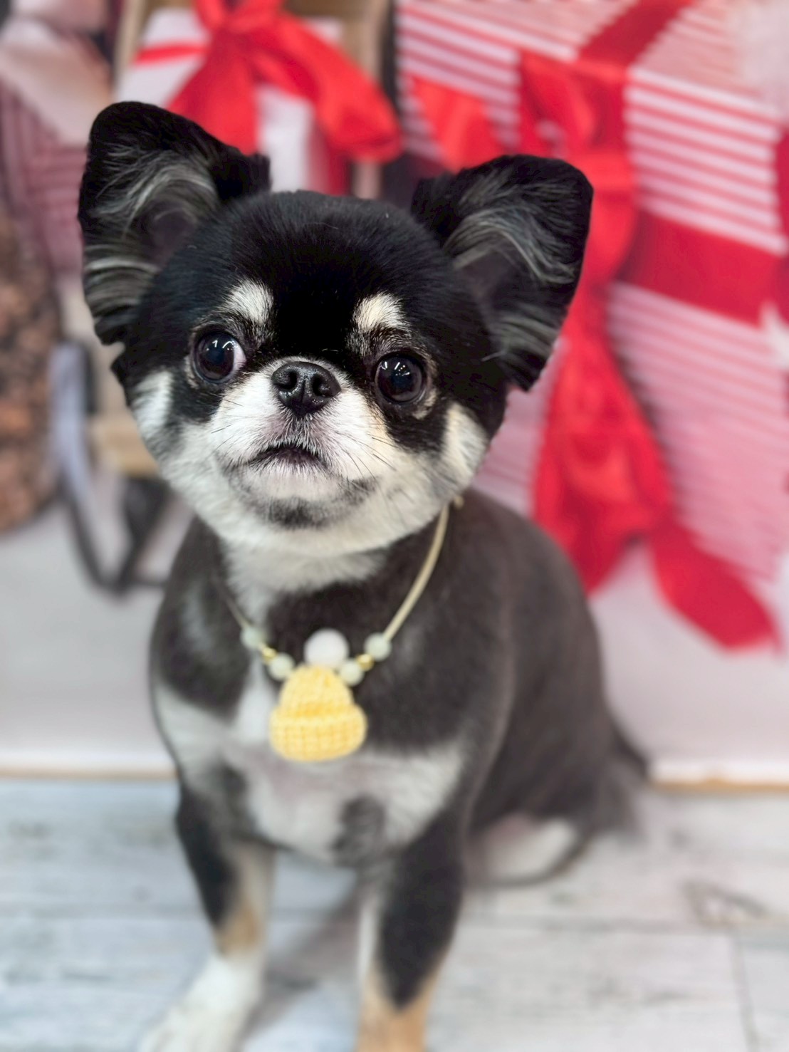 �I���[�W�� �挎�̂��q�l