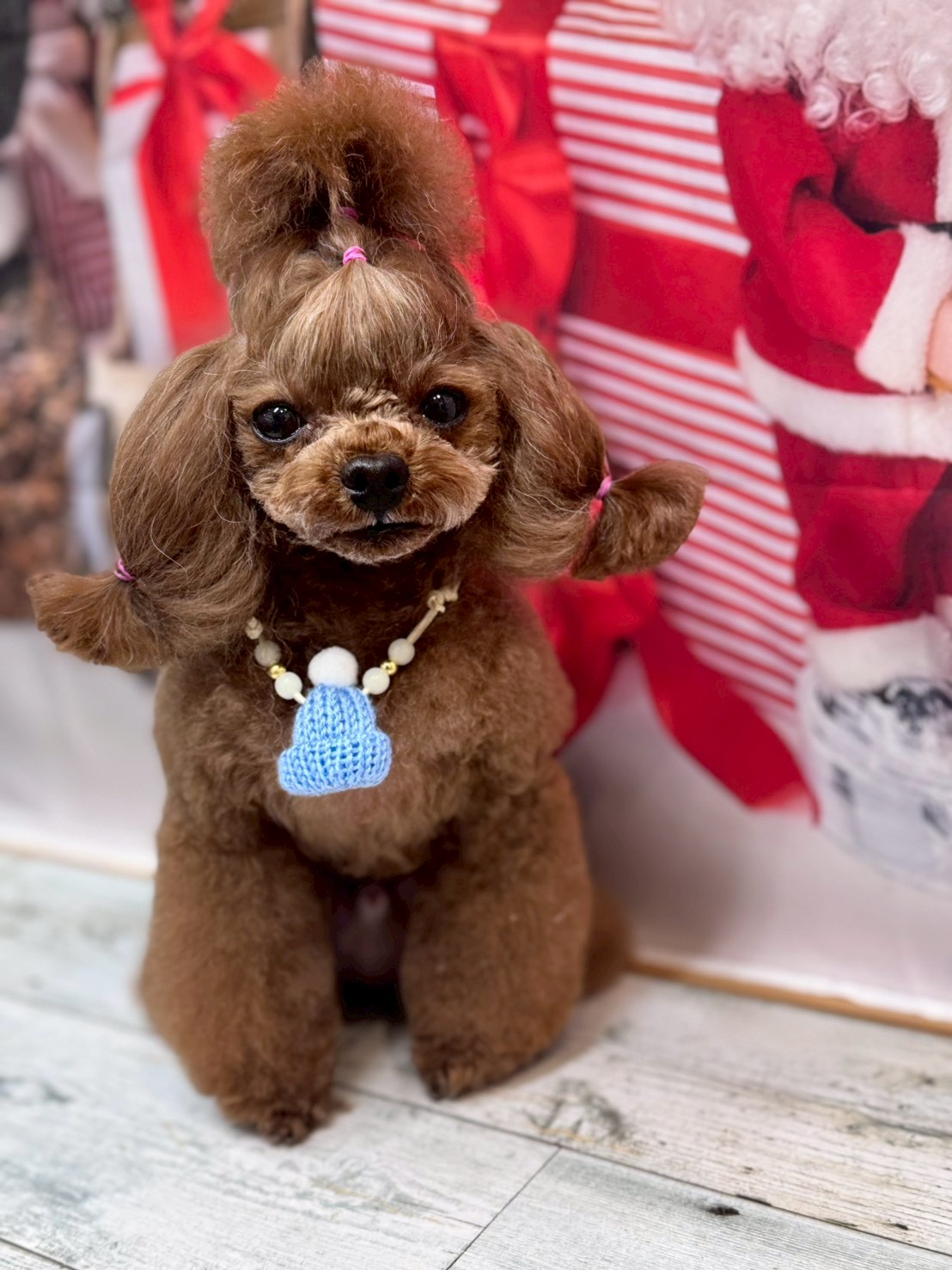 �I���[�W�� �挎�̂��q�l