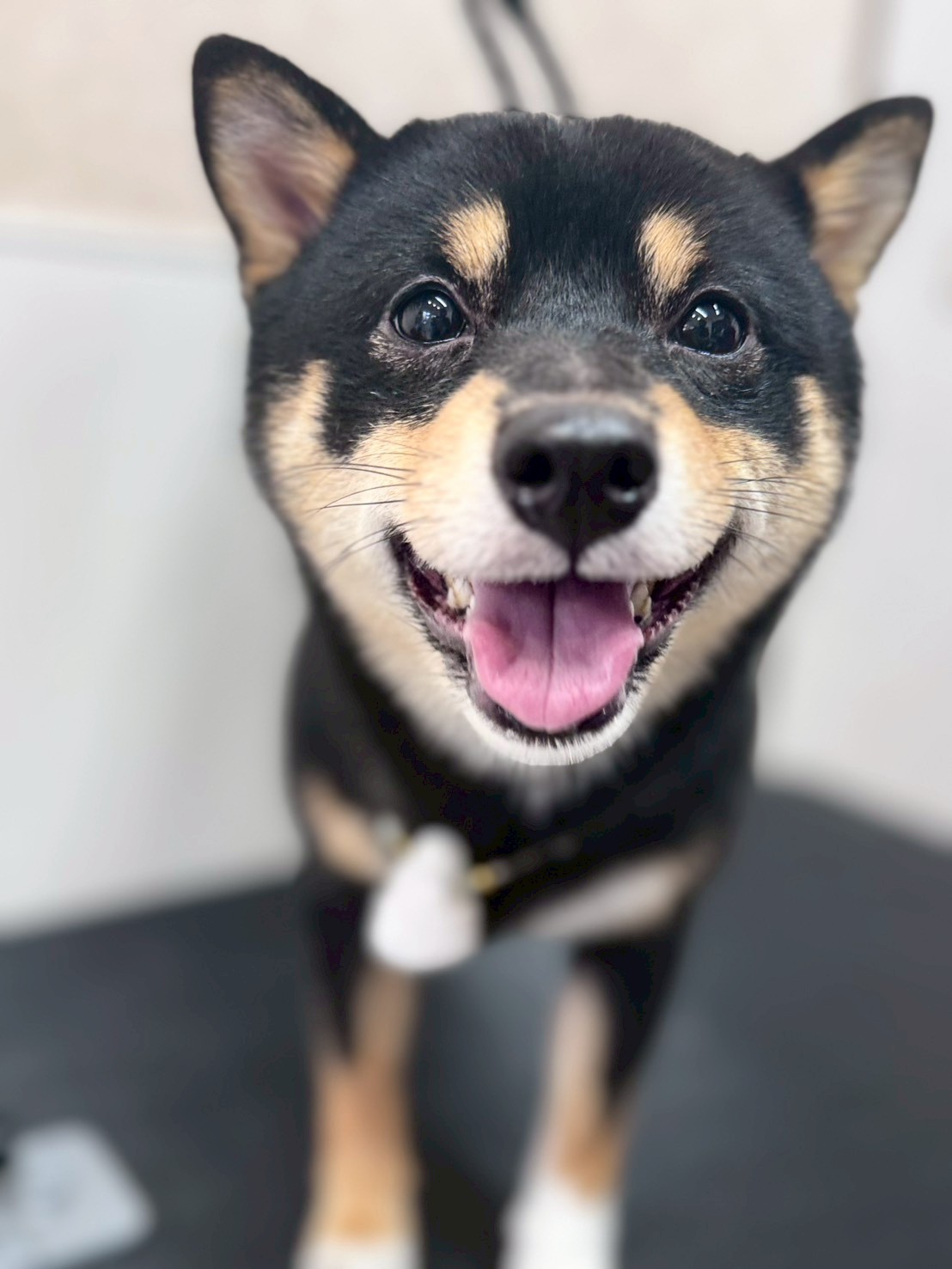 �I���[�W�� �挎�̂��q�l