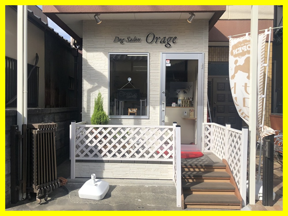 �g���~���O�T���� �����s